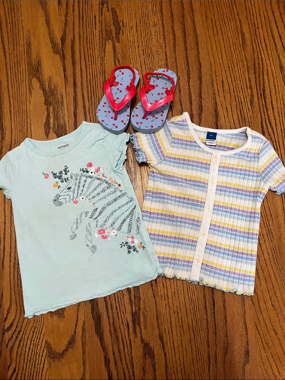 Mint Zebra Graphic Tee & Pastel Stripe Button Top